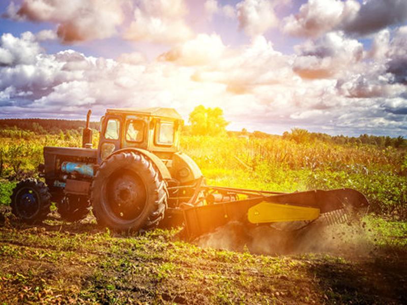 Agriculture